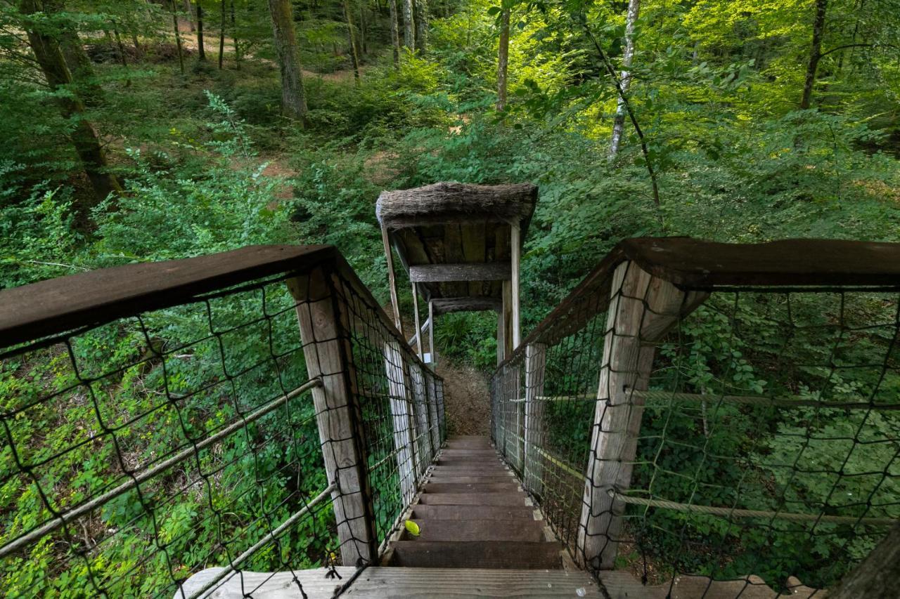 L'Arbre A Cabane Guyonvelle Bagian luar foto