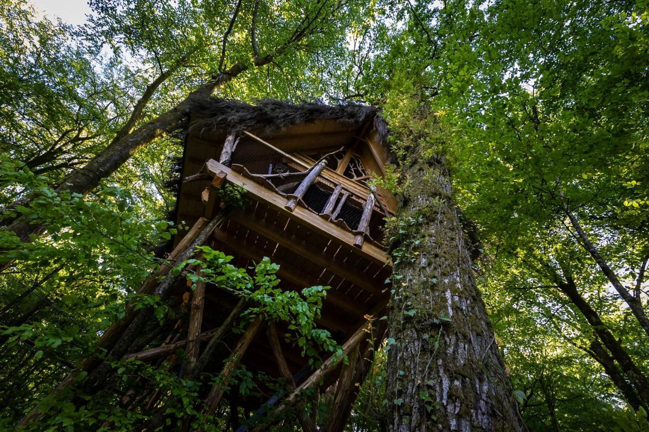 L'Arbre A Cabane Guyonvelle Bagian luar foto