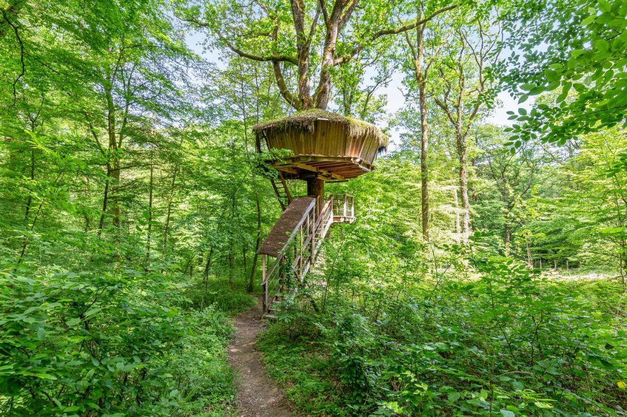 L'Arbre A Cabane Guyonvelle Bagian luar foto