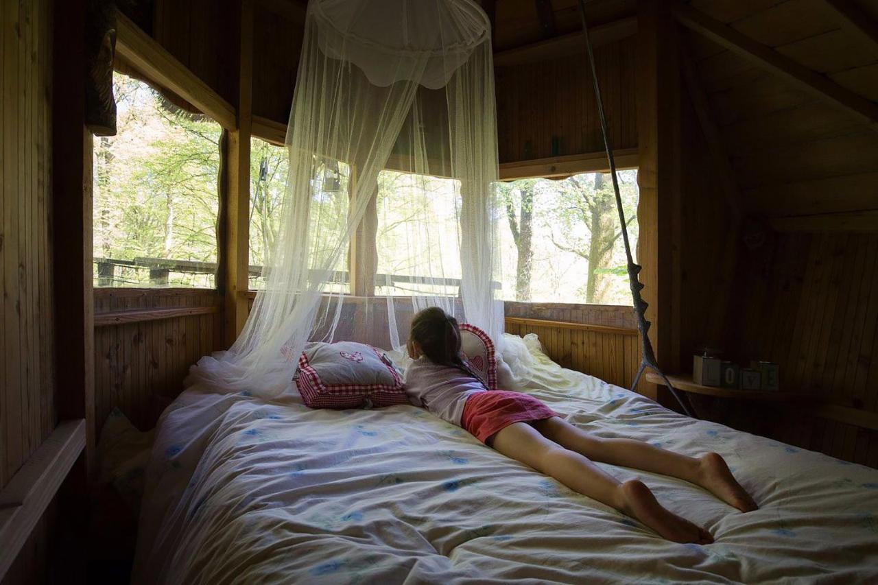 L'Arbre A Cabane Guyonvelle Bagian luar foto