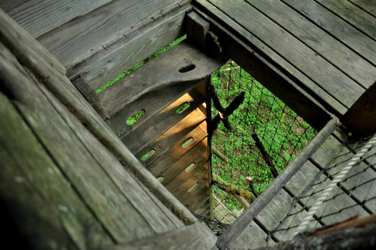 L'Arbre A Cabane Guyonvelle Bagian luar foto