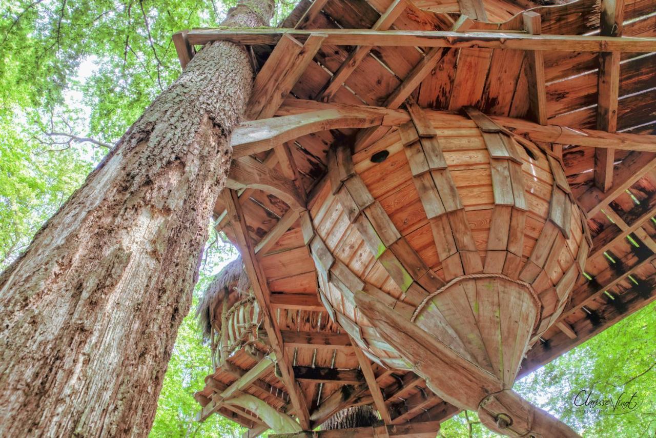 L'Arbre A Cabane Guyonvelle Bagian luar foto