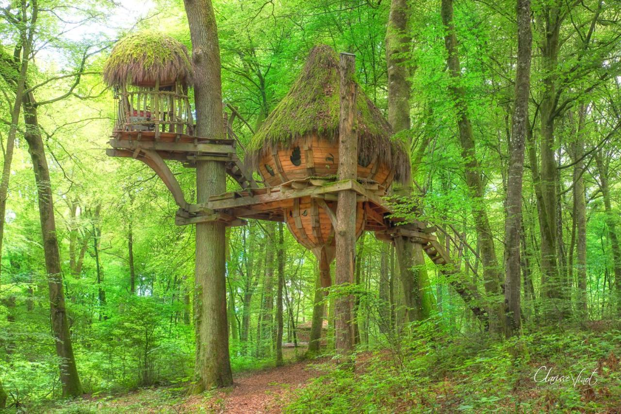 L'Arbre A Cabane Guyonvelle Bagian luar foto